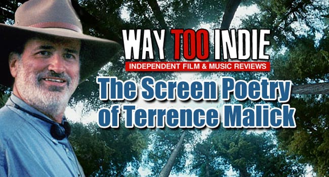 Video Essay: The Screen Poetry of Terrence Malick