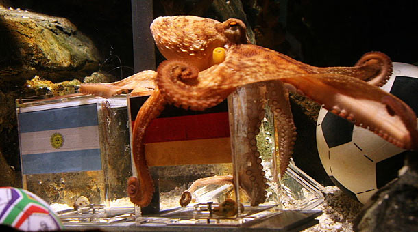 The Life and Times of Paul the Psychic Octopus