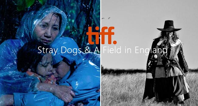 TIFF 2013: Stray Dogs & A Field in England