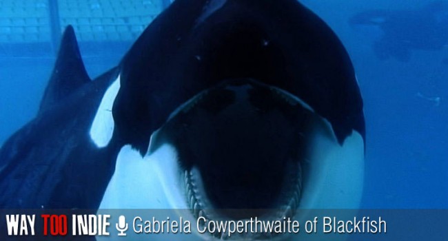 Gabriela Cowperthwaite Talks ‘Blackfish’ and the Secret Dangers of Sea World