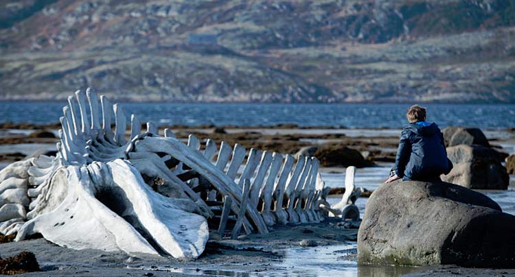 Leviathan Cannes movie