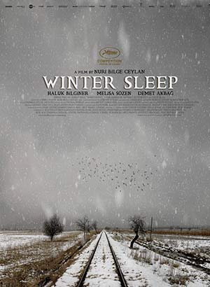 Winter Sleep movie poster