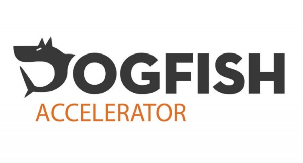 Get Your Dream Project on the Go with Dogfish Accelerator