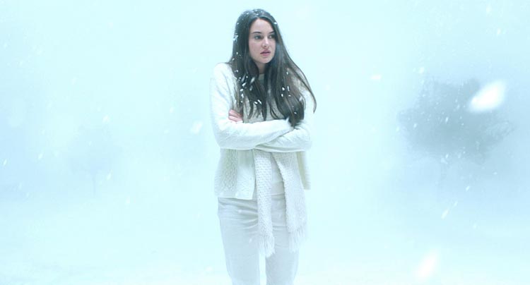 White Bird in a Blizzard