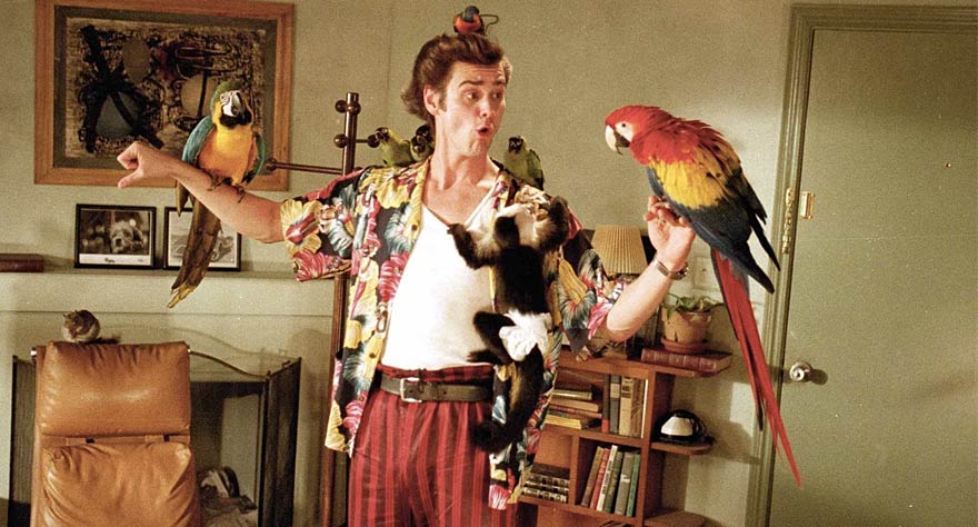 Ace Ventura: Pet Detective movie