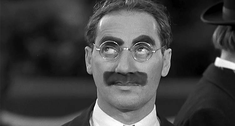 Groucho Marx moustache