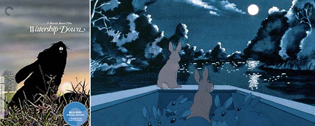 Watership Down Criterion Collection