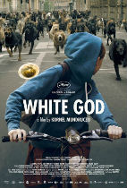 White God movie poster