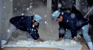 The Birth of Sake (Tribeca Review)