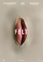 Felt movie poster