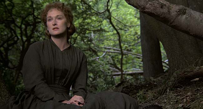 The French Lieutenant's Woman