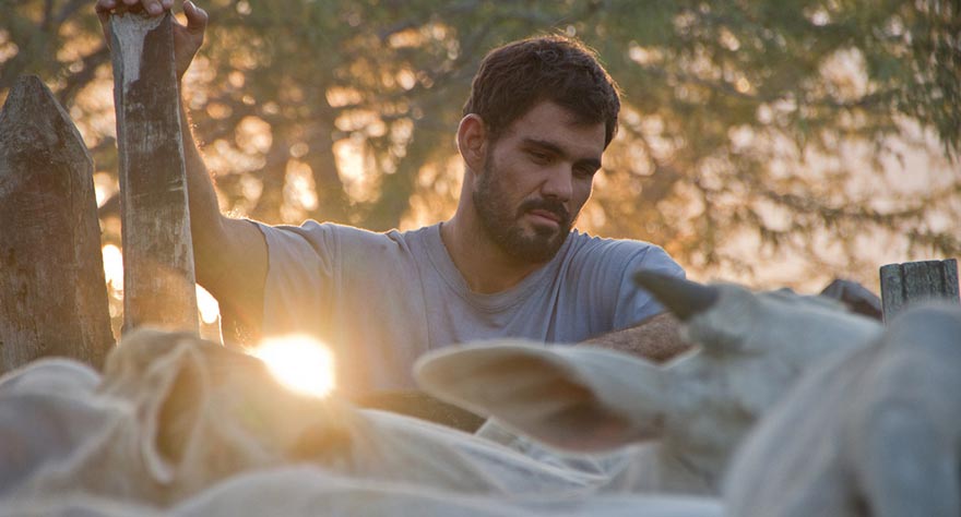 TIFF 2015: Neon Bull