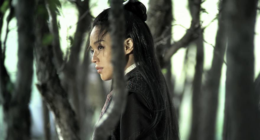 The Assassin foreign film