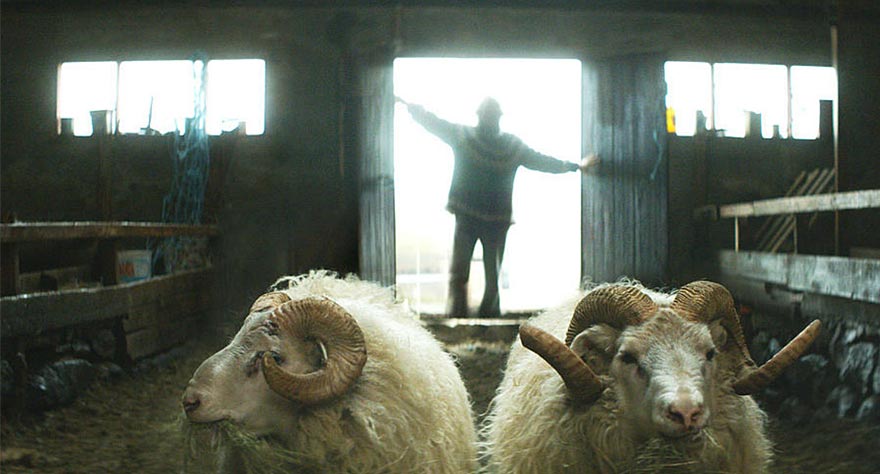 Rams (Sundance Review)