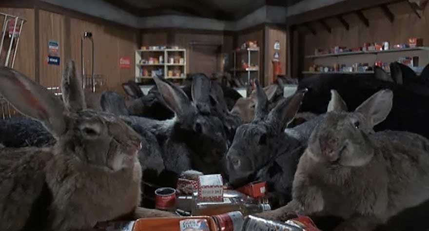 rabbits in Night of the Lepus